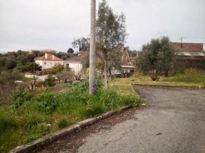 Tomar, Santarem 2300-414, Portugal