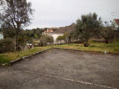 Tomar, Santarem 2300-414, Portugal