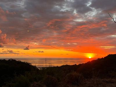 Dominical Bahía Ballena Osa, 푼타레나스 60504, 코스타 리카