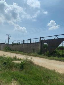 Yagua, Carabobo 2015, Venezuela