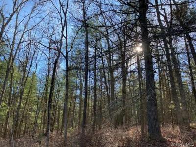 Magnolia Drive  1.51 Acre lot, Glen Spey, 纽约州 12737, 美国