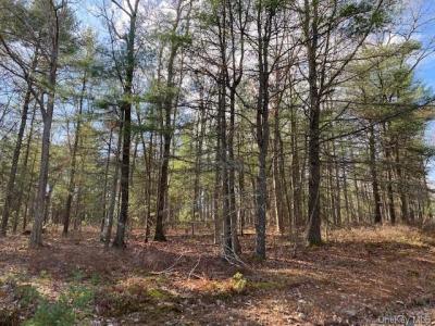 Magnolia Drive  1.51 Acre lot, Glen Spey, 纽约州 12737, 美国
