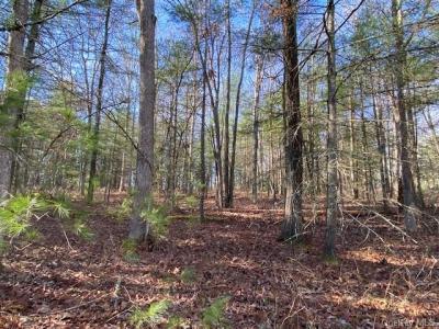 Magnolia Drive  1.51 Acre lot, Glen Spey, 纽约州 12737, 美国