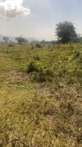 3 125, Yagua, Carabobo 00001, Venezuela