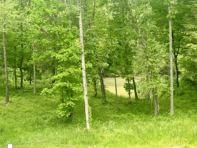 1815  Baldwin Rd lot 8, McKee, Kentucky 40447, Stati Uniti