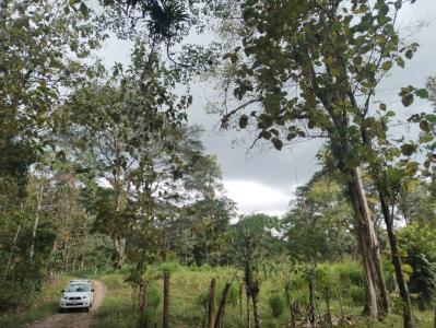 Parrita Parrita, Puntarenas 60600, Costa Rica