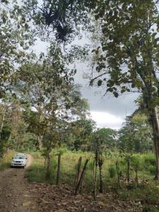 Parrita Parrita, Puntarenas 60600, קוסטה ריקה
