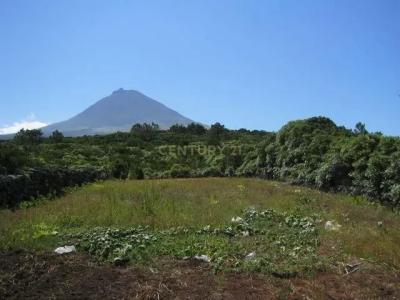 Madalena, Ilha Do Pico 9950-052, Portugal