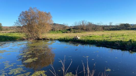 Penamacor, Castelo Branco 6090-000, Portugal