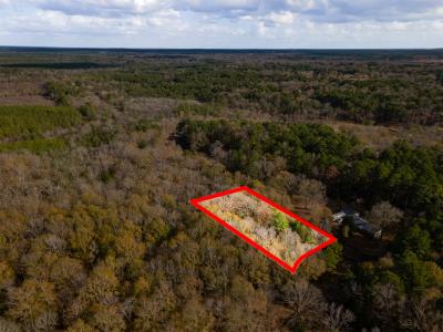 1570 CR 559, Etoile, Texas 75944, USA