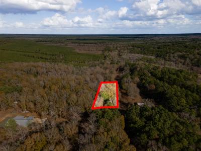 1570 CR 559, Etoile, Texas 75944, USA