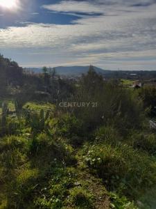 Viana Do Castelo, Viana Do Castelo 4935-359, Portugal