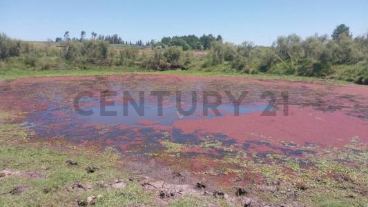 San Jacinto, Canelones 00001, Uruguay