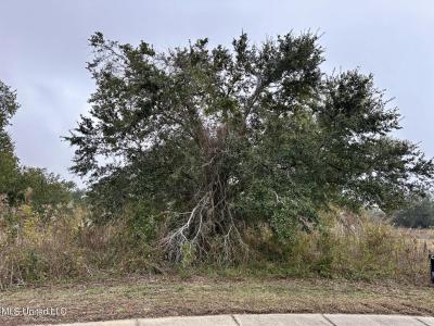 110 Destiny Oaks Drive, Long Beach, Mississippi 39560, Estados Unidos