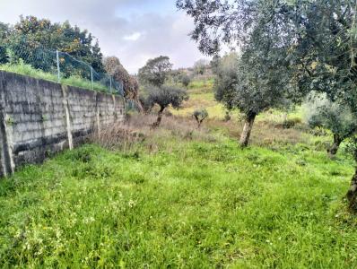 Ferreira Do Zêzere, 산타렘 2240-221, 포르투갈