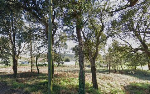 Espinho, 아베이루 4500-491, 포르투갈