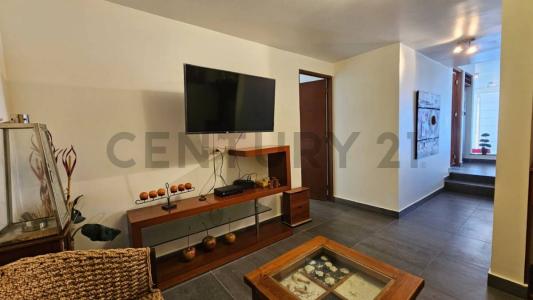 Calle Playa Las Palmeras , Cañete, Lima 00001, ペルー