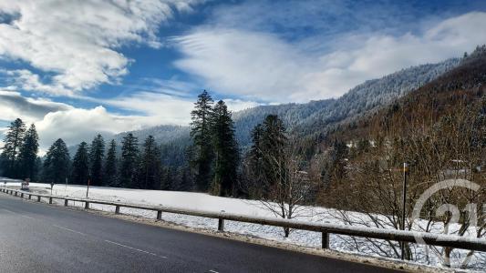 La Bresse, 洛琳 88250, 法国