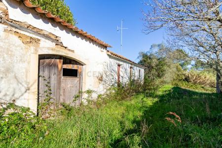 Alcobaça, Leiria 2460-358, Portogallo