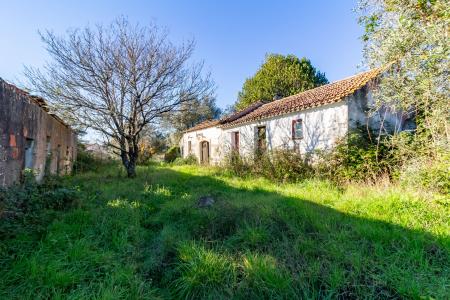 Alcobaça, Leiria 2460-358, Portogallo