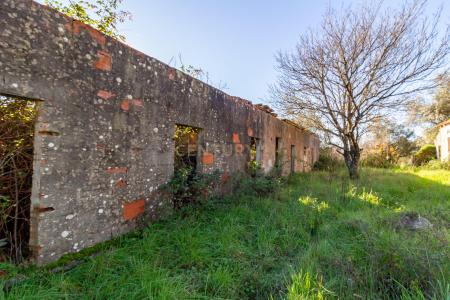 Alcobaça, Leiria 2460-358, Portogallo