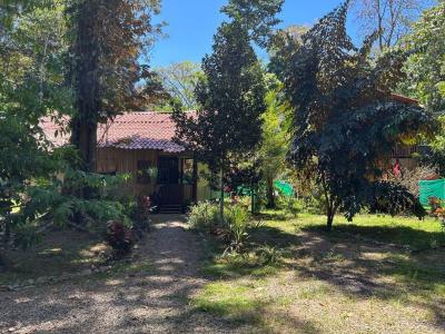 Los Cielos, Playa Negra , Puerto Viejo Playa Negra Cahuita Talamanca, Limón 70403, Kosta Rika