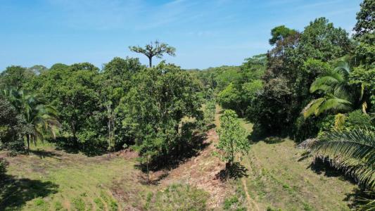 Ojochal Puerto Cortés Osa, Puntarenas 60501, 哥斯达黎加