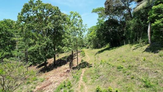 Ojochal Puerto Cortés Osa, Puntarenas 60501, 哥斯达黎加