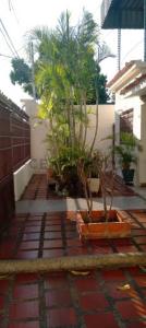Mérida Nro. 16, Maracay, Aragua 2103, ベネズエラ