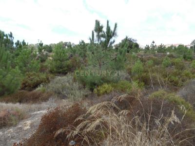 Sesimbra, Setúbal 2975-190, Portugal