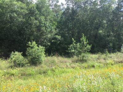 0 Hwy 90, Liberty, Texas 77538, Estados Unidos