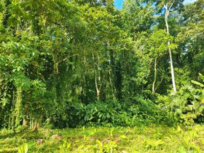 Puerto Vargas Cahuita Talamanca, Limón 70403, קוסטה ריקה 