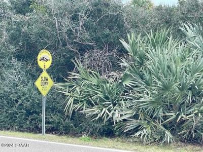 4415 S Atlantic Avenue, Ponce Inlet, 佛羅里達州 32127, 美國