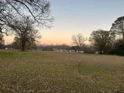 xxx Hill Ave, Pittsburg, Texas 75686, Estados Unidos