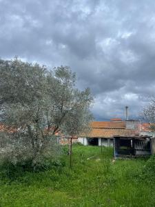 Montemor o Novo, Évora 7050-611, Portugal