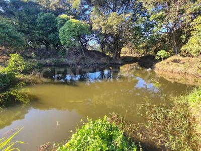 Palmillas s/n,, Cuauhtemoc, Colima 28521, México