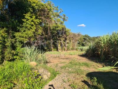 Palmillas s/n,, Cuauhtemoc, Colima 28521, México