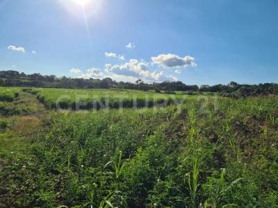 Palmillas s/n,, Cuauhtemoc, Colima 28521, México