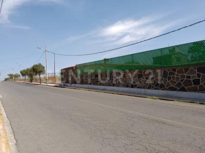 Zumpango, ولاية مكسيكو 55635, المكسيك