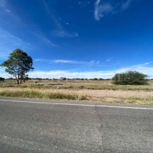 El Llano, 阿瓜斯卡连特斯 20337, 墨西哥