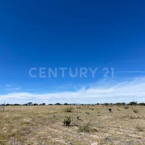 El Llano, Aguascalientes 20337, Mexico