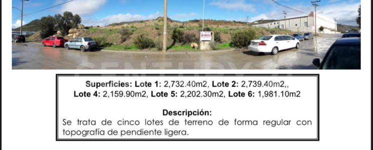 Tecate, バハ・カリフォルニア 21430, メキシコ