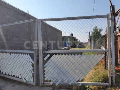 Texcoco, 墨西哥州 56200, 墨西哥