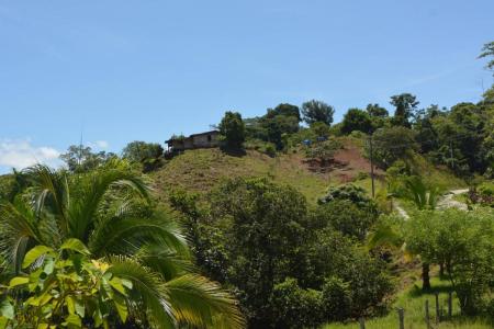 Mogos Sierpe Osa, Puntarenas 00001, Costa Rica