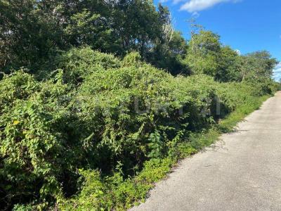 Valladolid, Yucatan 97780, Mexique