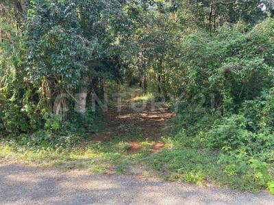 Valladolid, Yucatan 97780, Mexique