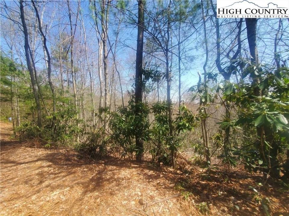 Tbd Falcon Ridge Trail, West Jefferson, North Carolina 28694, Stati Uniti