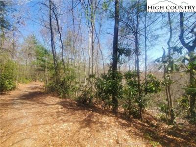 Tbd Falcon Ridge Trail, West Jefferson, North Carolina 28694, Stati Uniti