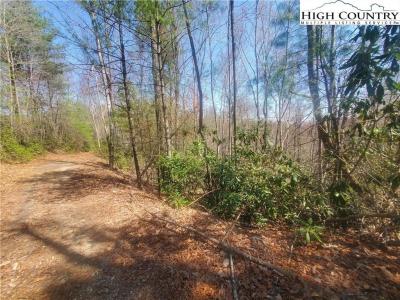 Tbd Falcon Ridge Trail, West Jefferson, North Carolina 28694, Stati Uniti