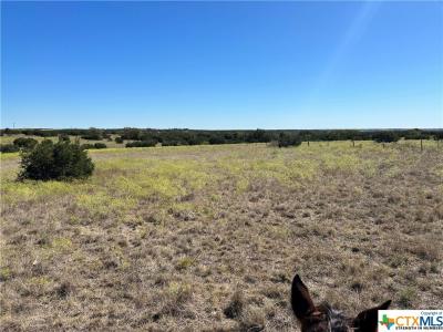 Tba PR 10620, Jonesboro, Texas 76538, Estados Unidos